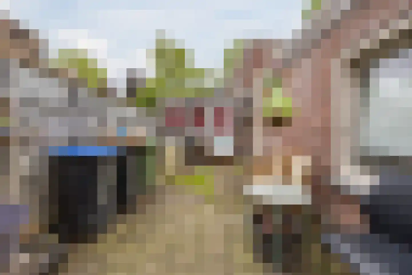 Lollestraat 31 Oudenbosch thumbnail 29
