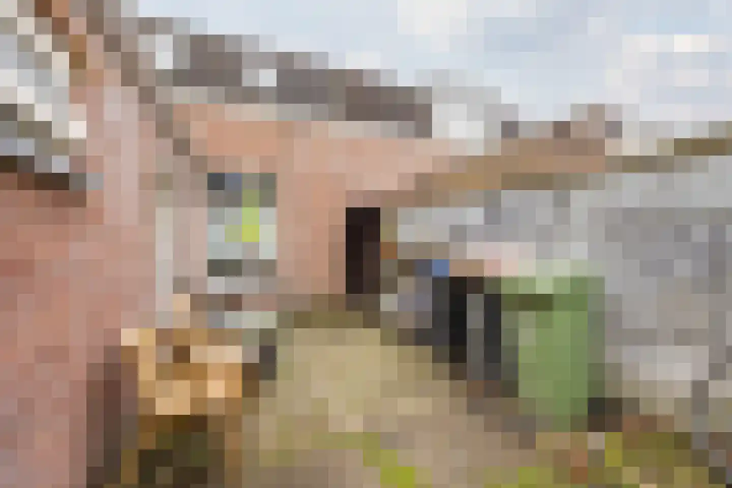 Lollestraat 31 Oudenbosch thumbnail 31