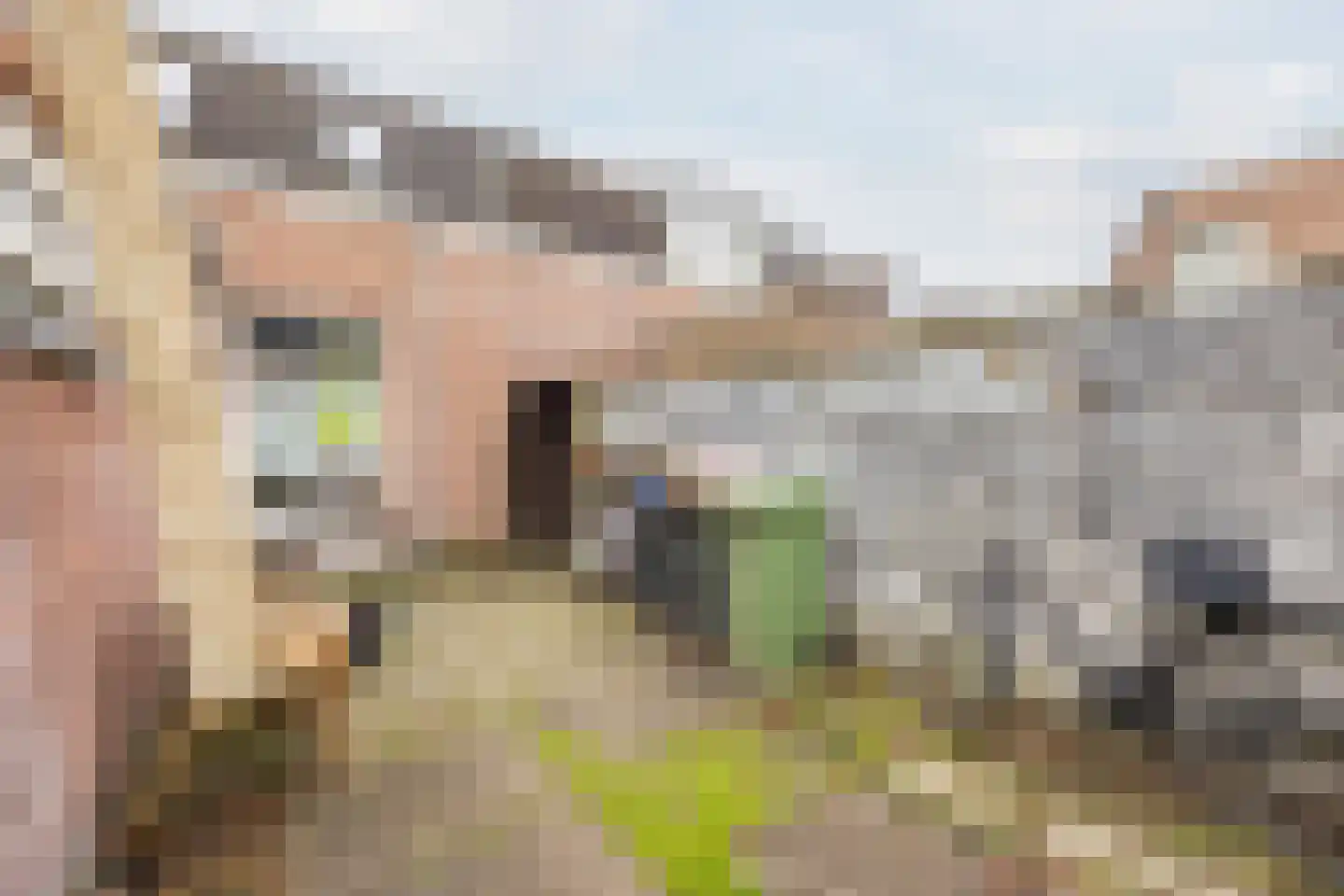 Lollestraat 31 Oudenbosch thumbnail 32