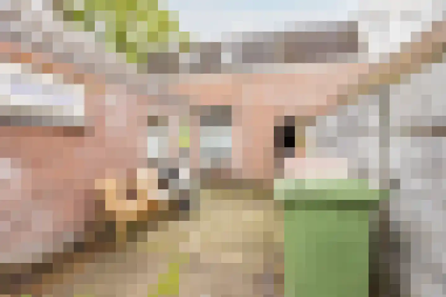 Lollestraat 31 Oudenbosch thumbnail 33