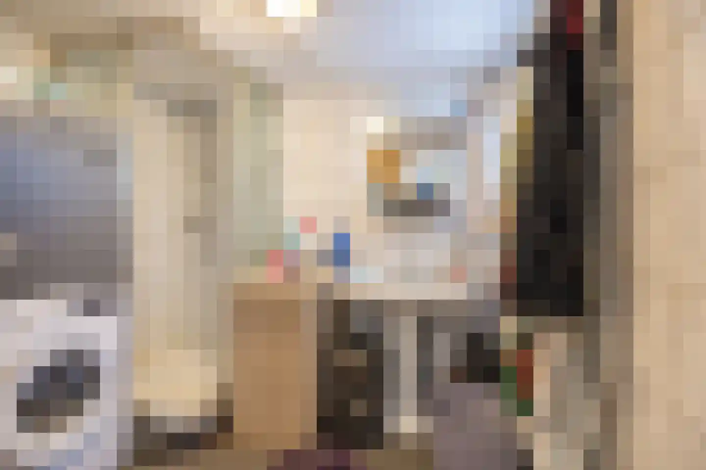 Lollestraat 31 Oudenbosch thumbnail 36