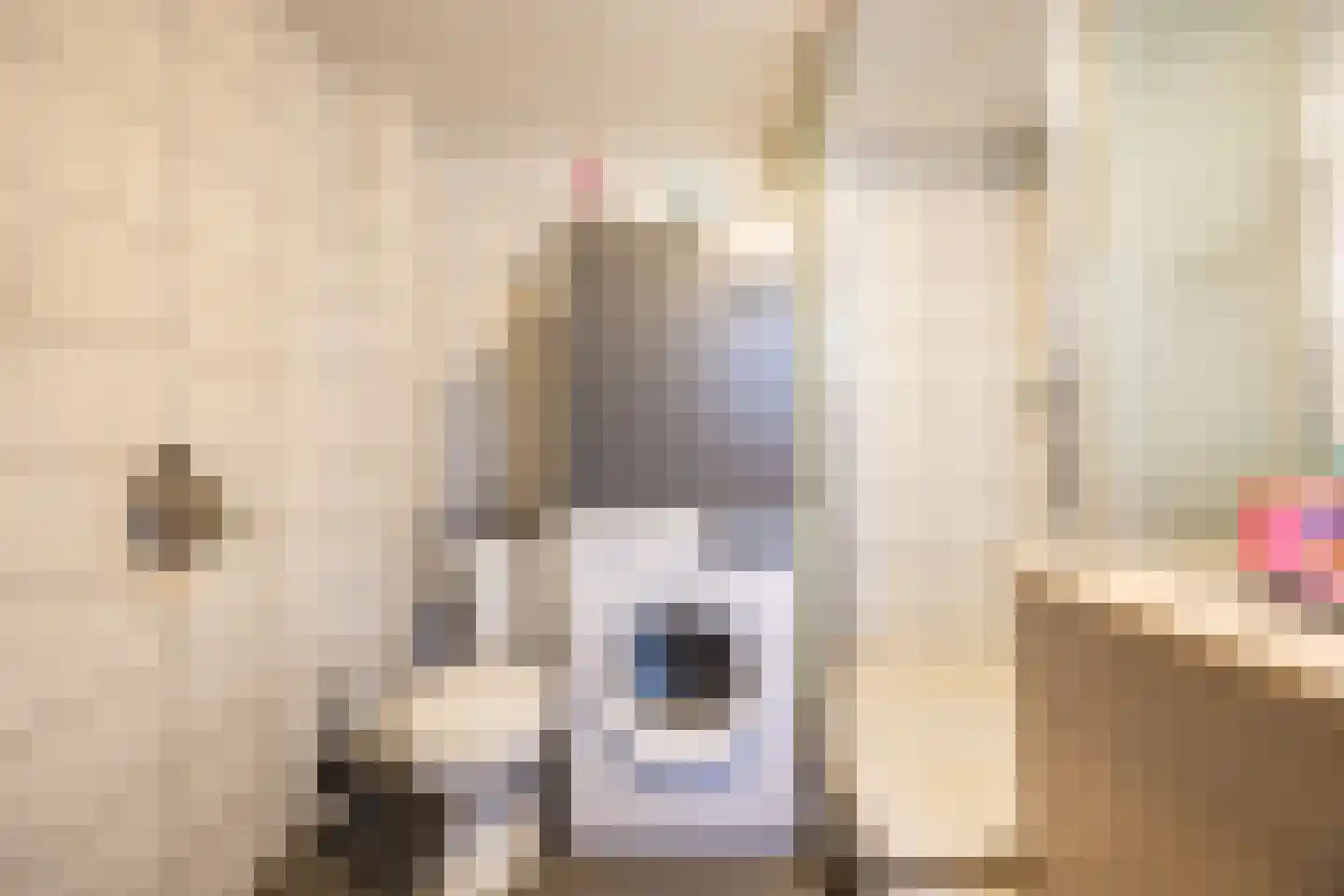Lollestraat 31 Oudenbosch thumbnail 37