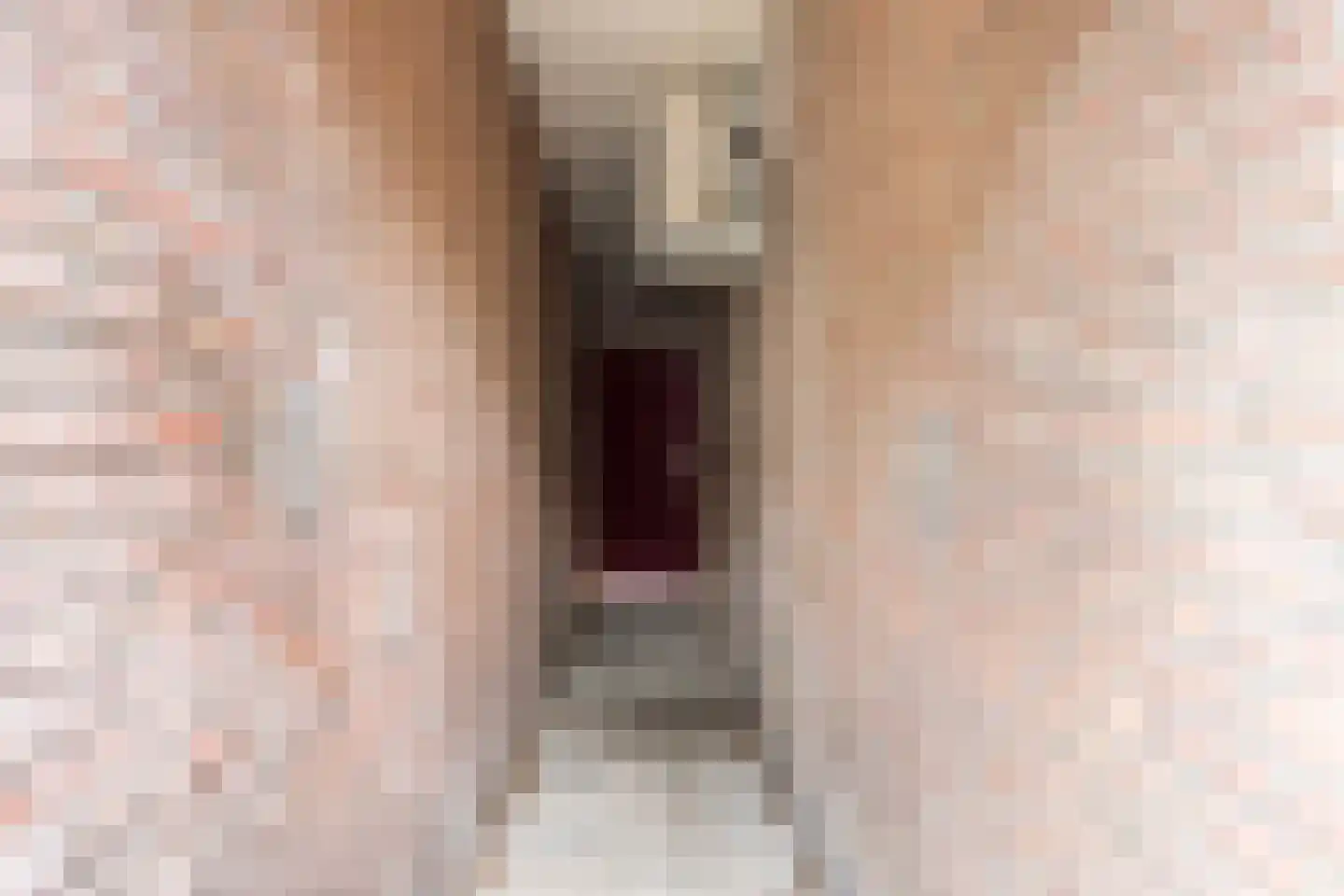 Lollestraat 31 Oudenbosch thumbnail 38