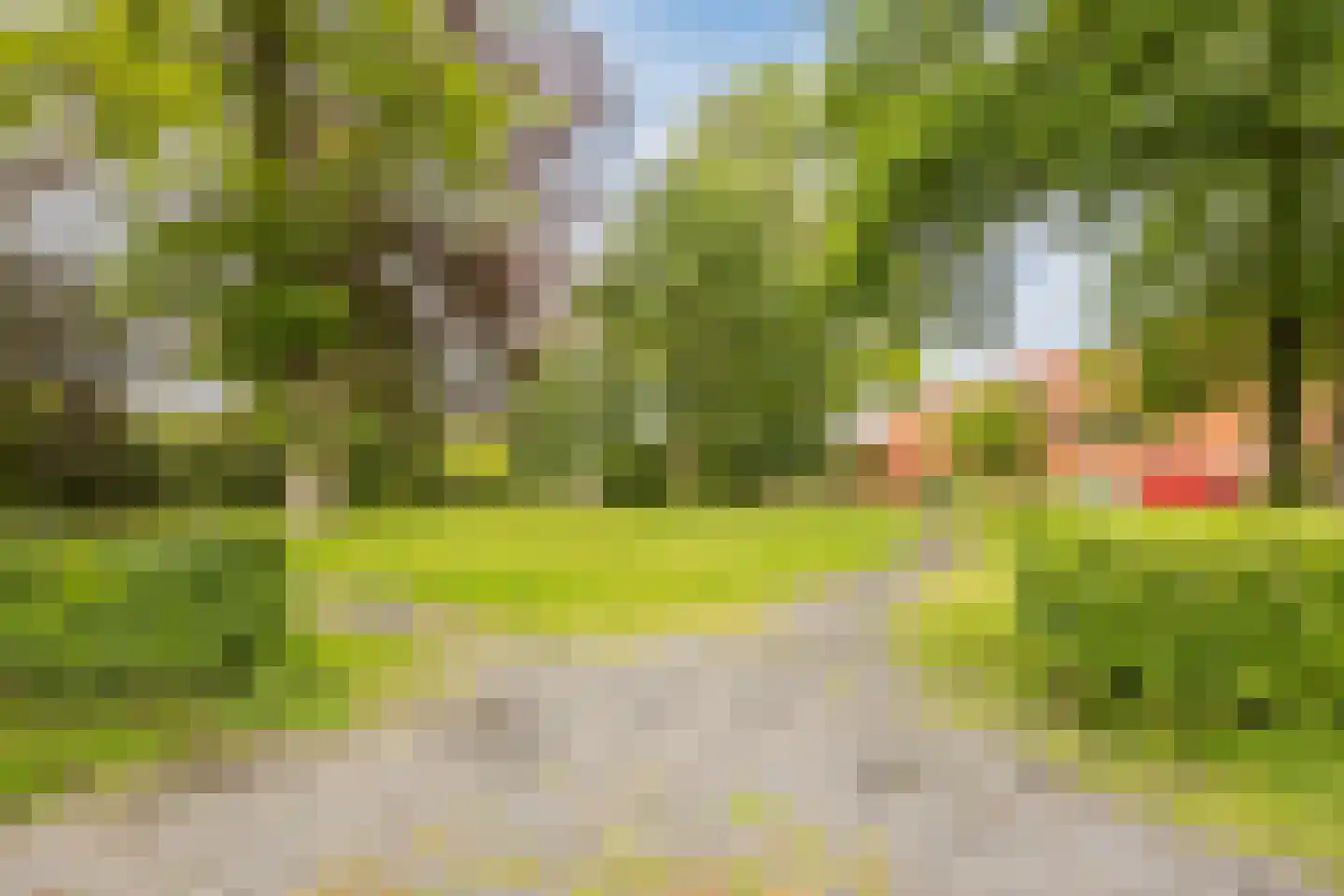 Lollestraat 31 Oudenbosch thumbnail 41