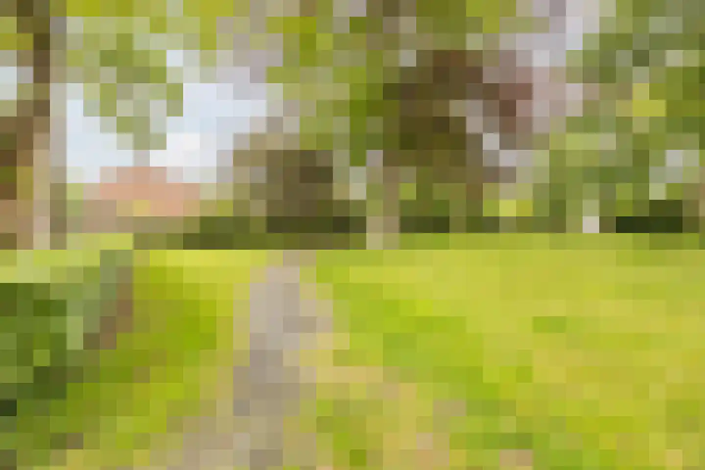 Lollestraat 31 Oudenbosch thumbnail 42