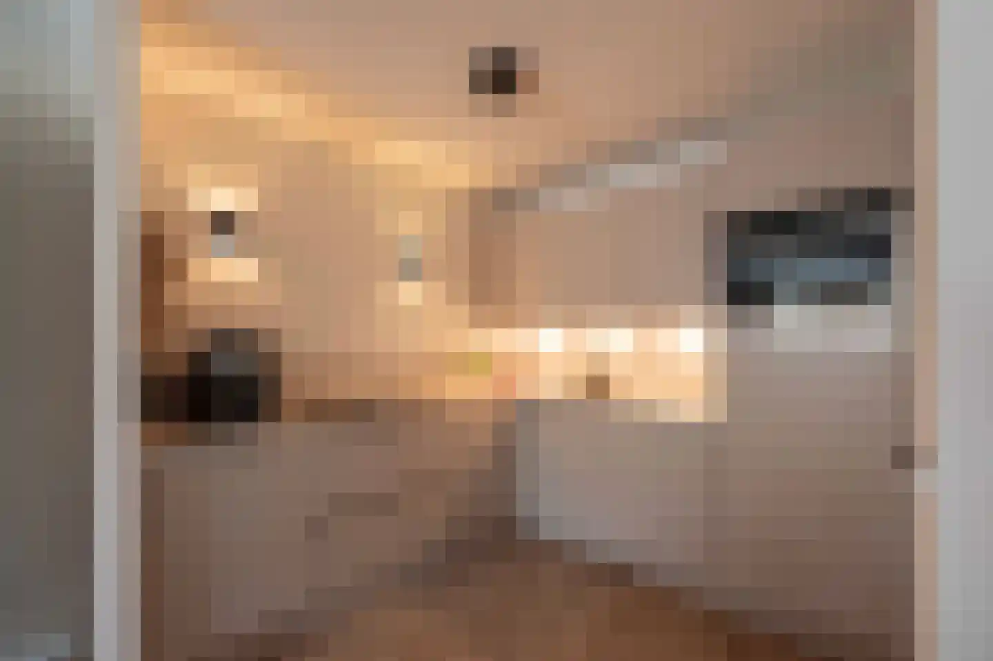 Lollestraat 6 b Oudenbosch thumbnail 13