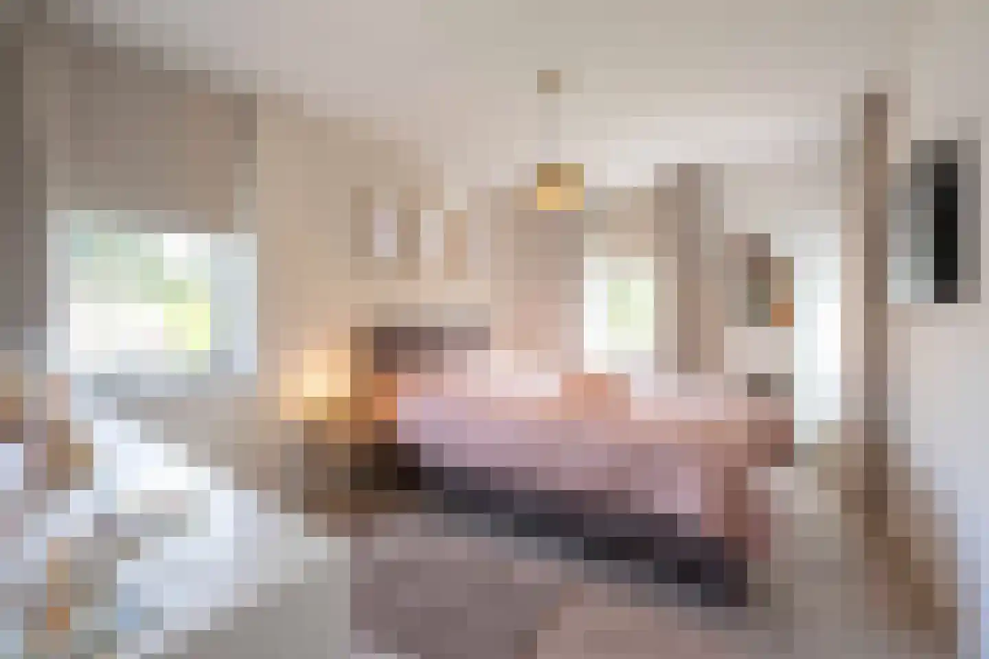 Lollestraat 6 b Oudenbosch thumbnail 20
