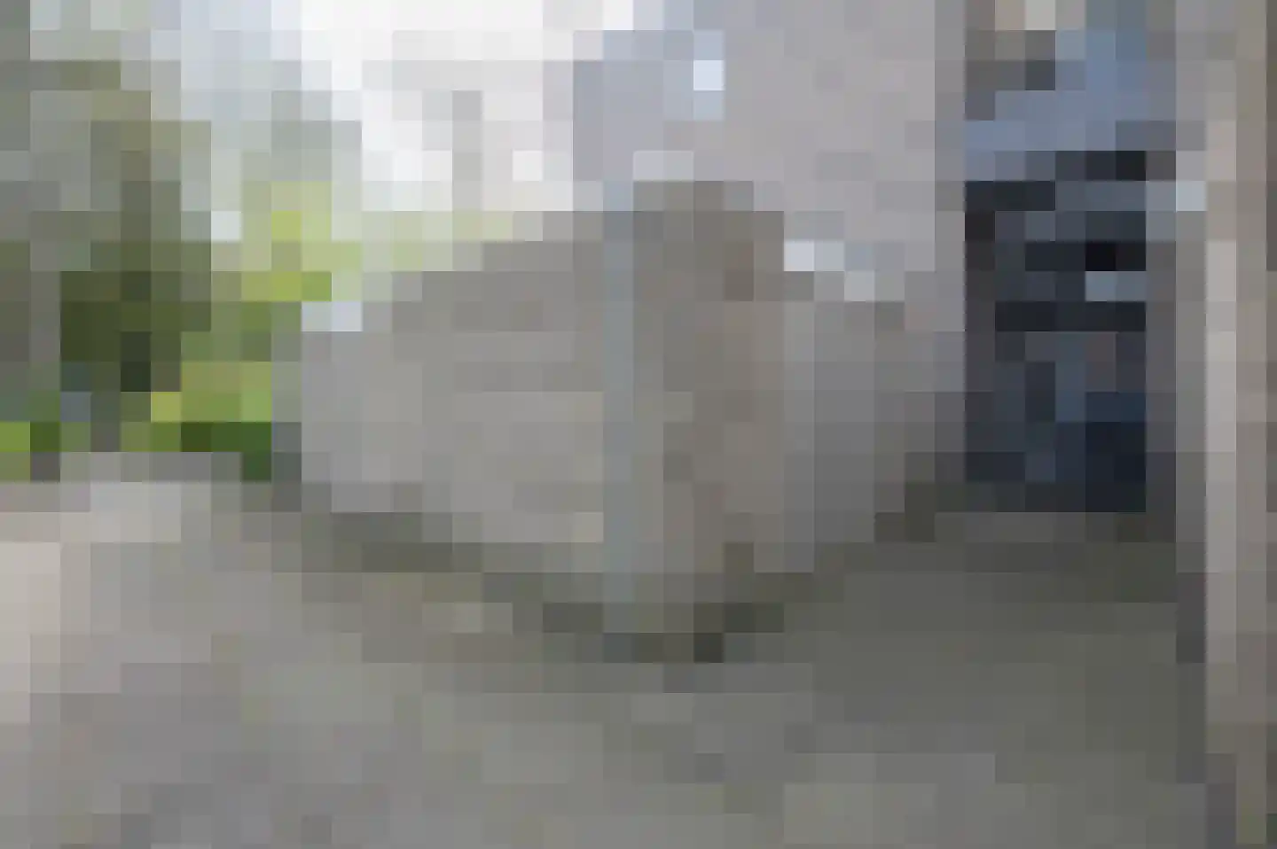 Lollestraat 6 b Oudenbosch thumbnail 29
