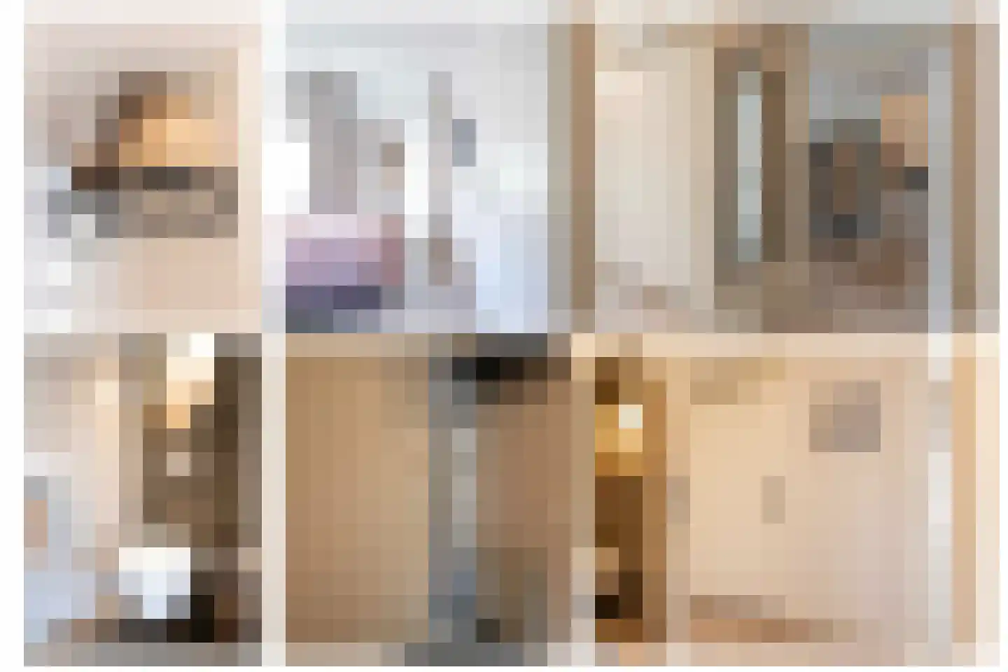 Lollestraat 6 b Oudenbosch thumbnail 5