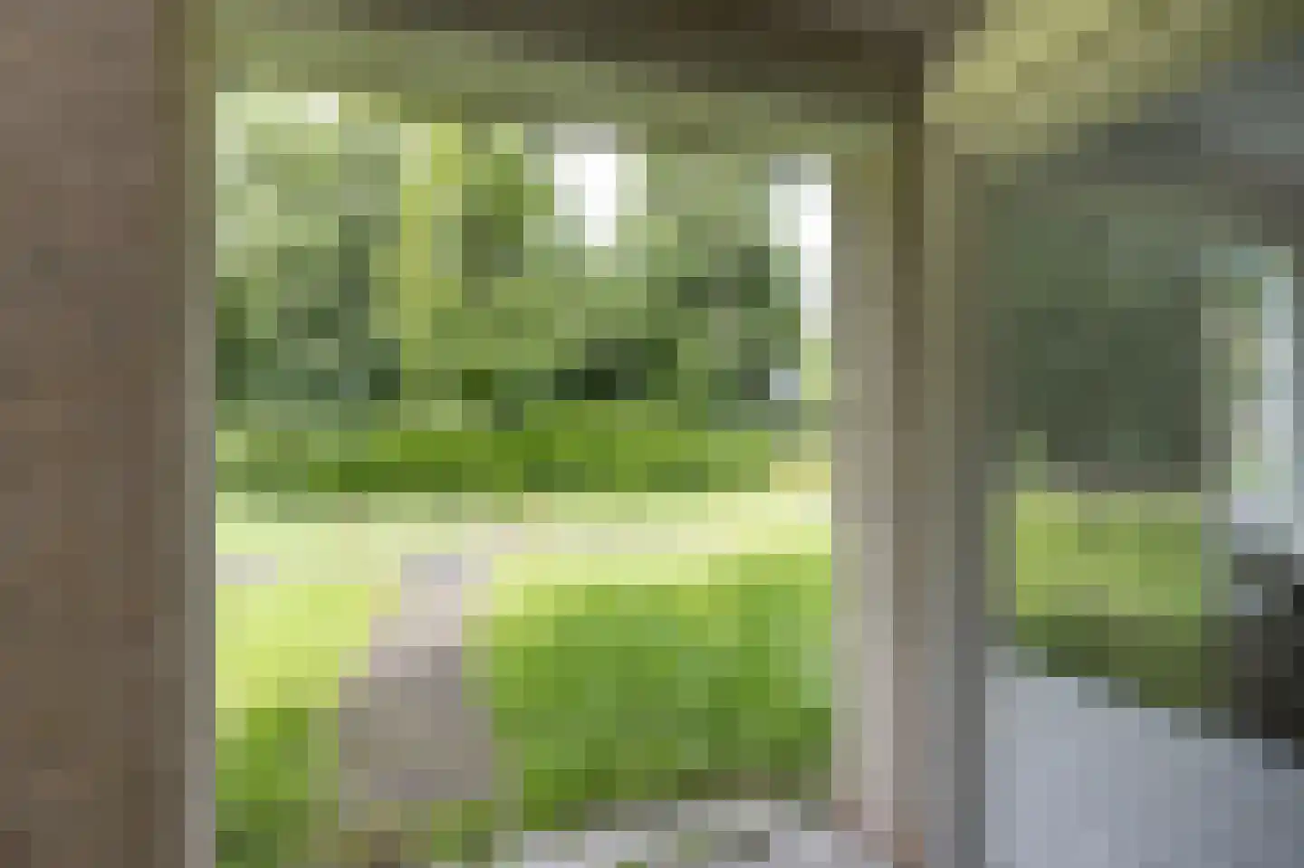 Lollestraat 8 Oudenbosch thumbnail 24