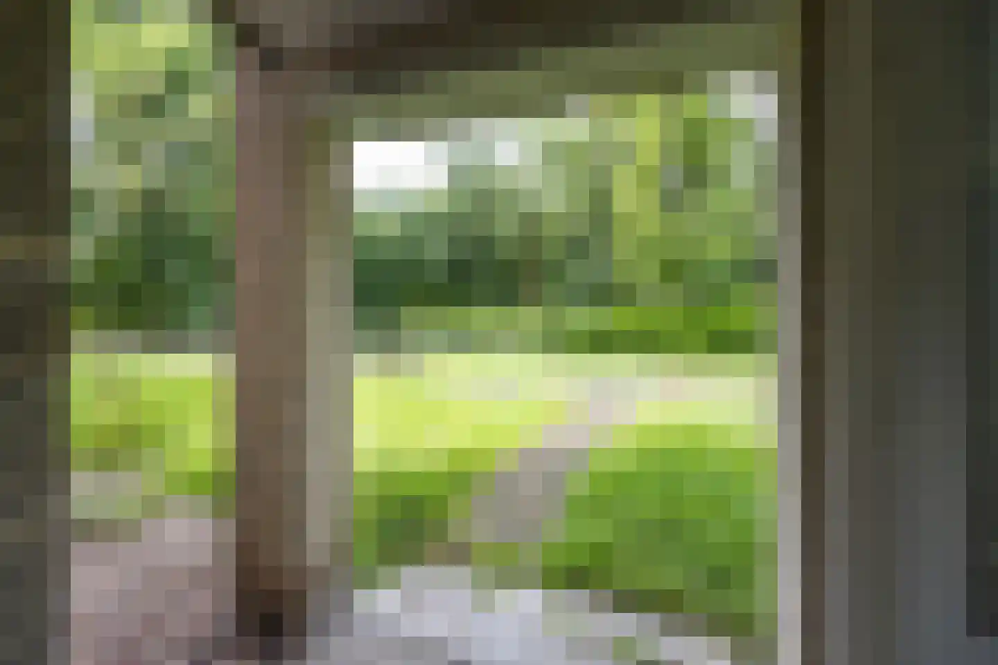 Lollestraat 8 Oudenbosch thumbnail 25