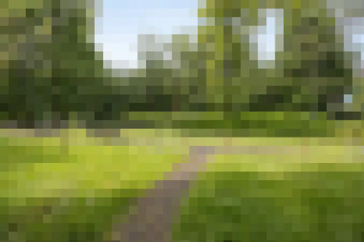 Lollestraat 8 Oudenbosch thumbnail 26