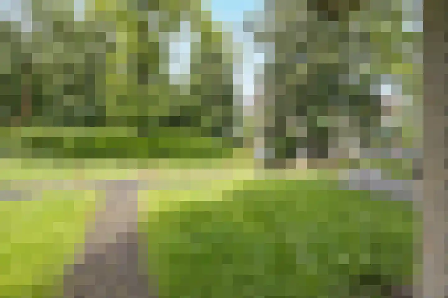 Lollestraat 8 Oudenbosch thumbnail 27