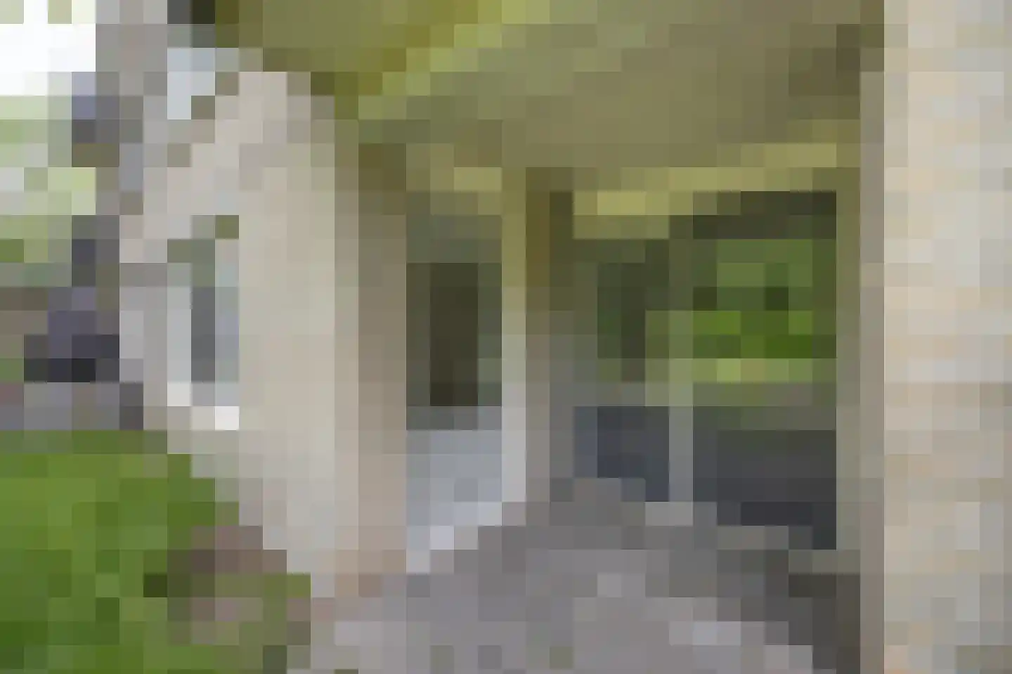 Lollestraat 8 Oudenbosch thumbnail 30