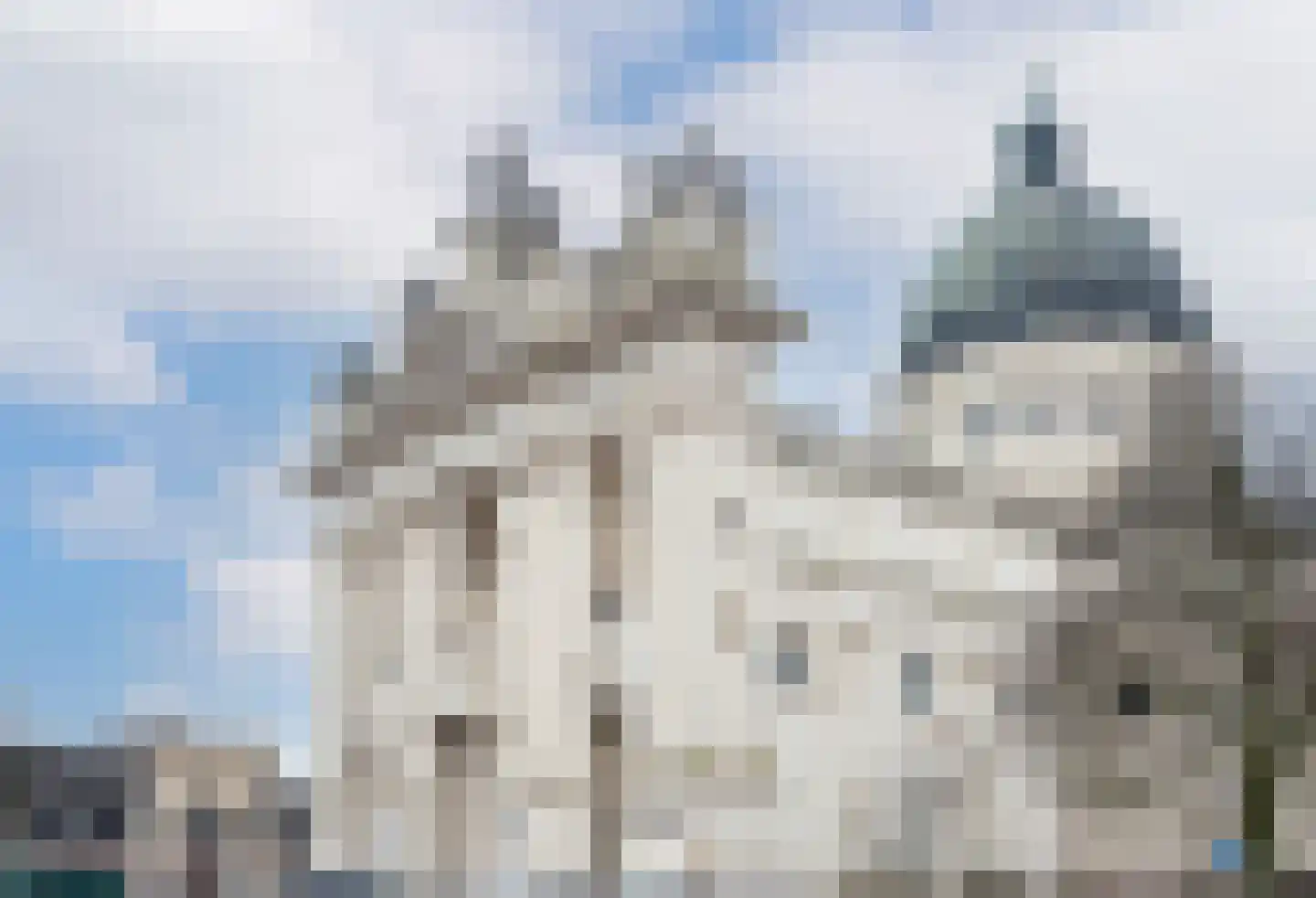 Lollestraat 8 Oudenbosch thumbnail 33