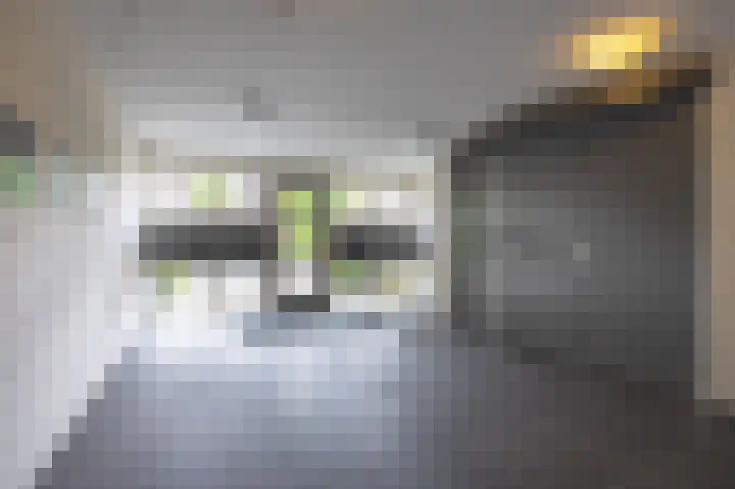Lollestraat 8 Oudenbosch thumbnail 4