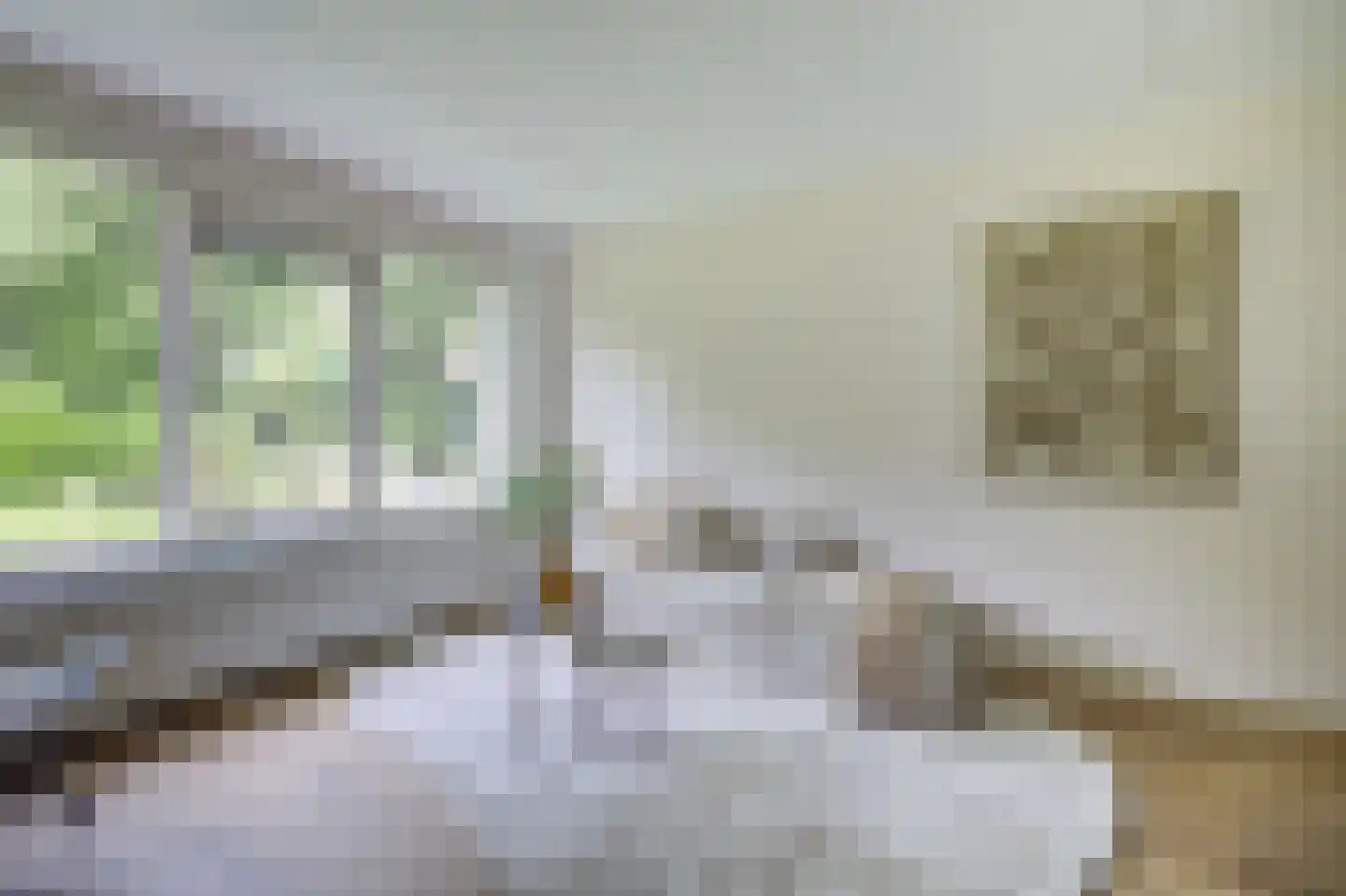 Lollestraat 8 Oudenbosch thumbnail 8