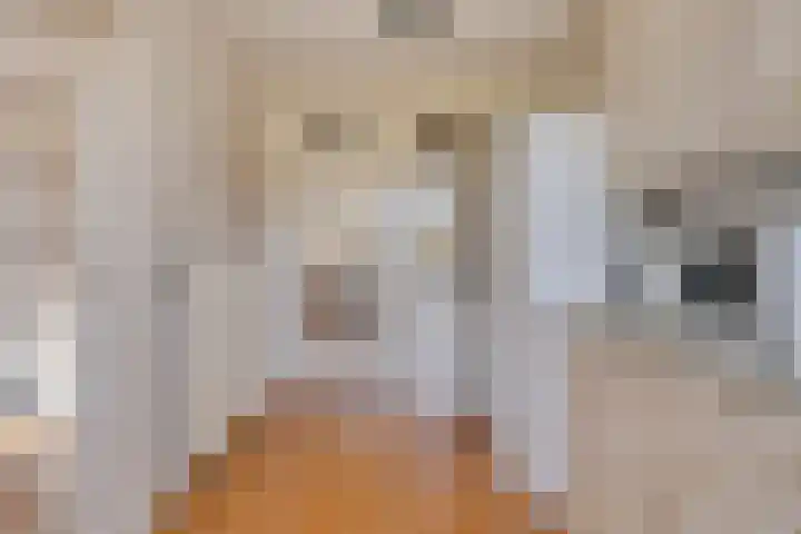 Lollius Ademalaan 11 Oranjewoud thumbnail 14