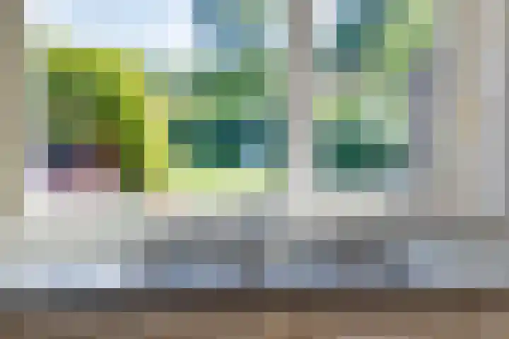Lollius Ademalaan 11 Oranjewoud thumbnail 16