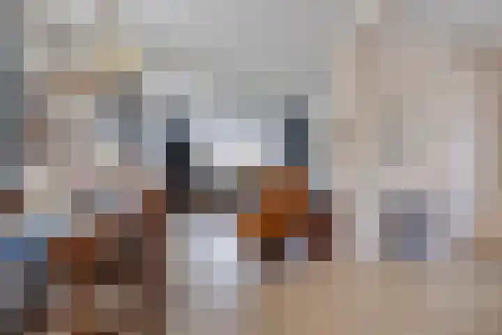 Lollius Ademalaan 11 Oranjewoud foto 3