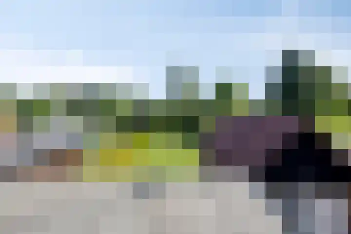 Lollius Ademalaan 11 Oranjewoud thumbnail 31