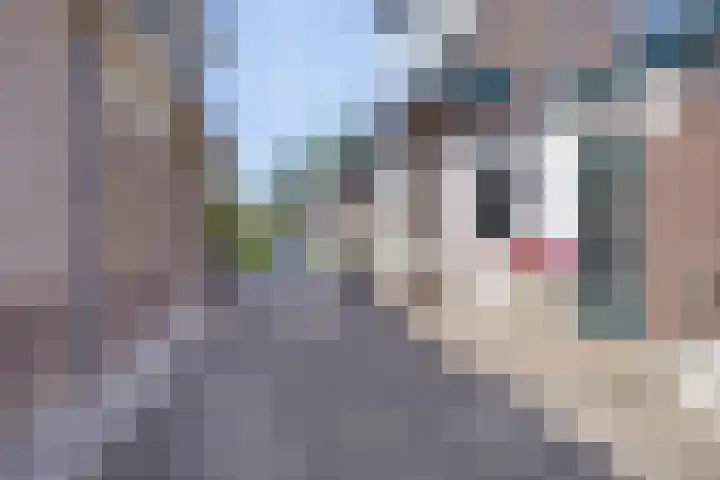 Lollius Ademalaan 11 Oranjewoud thumbnail 32