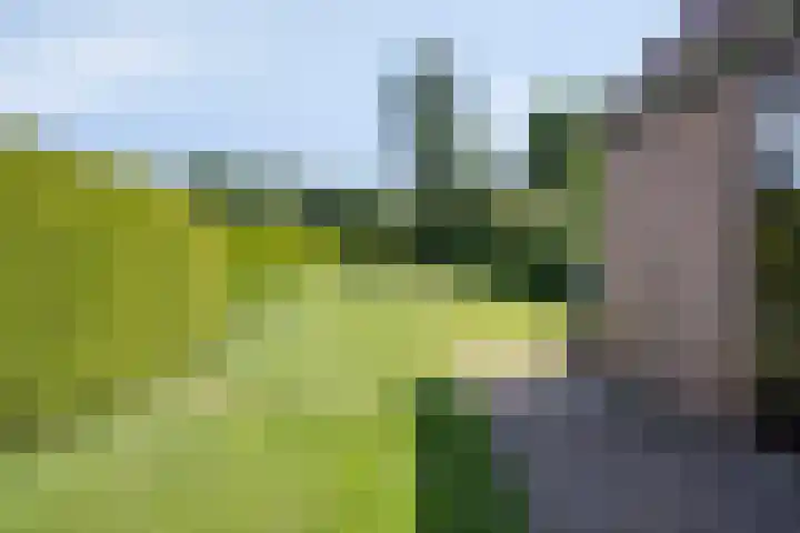 Lollius Ademalaan 11 Oranjewoud thumbnail 37