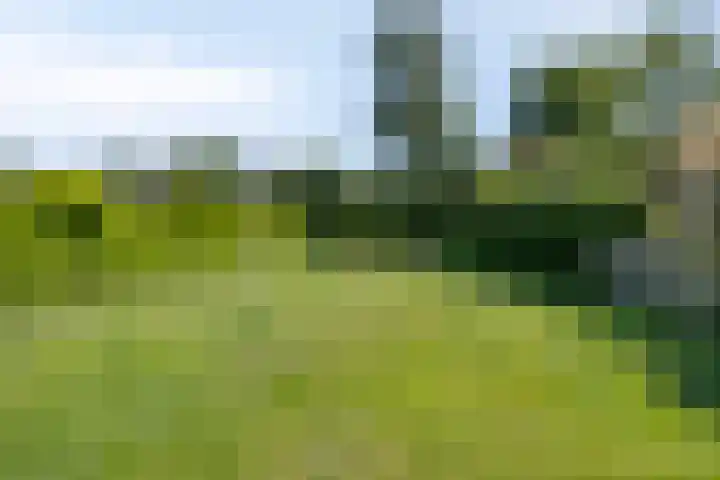 Lollius Ademalaan 11 Oranjewoud thumbnail 40