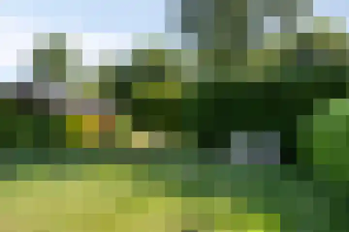 Lollius Ademalaan 11 Oranjewoud thumbnail 42