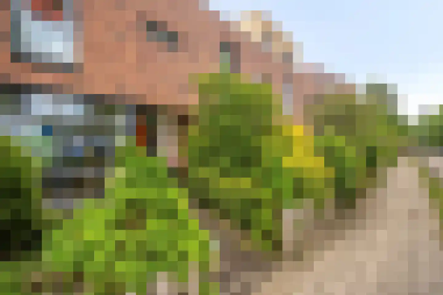 Lomanlaan 36 Utrecht thumbnail 10