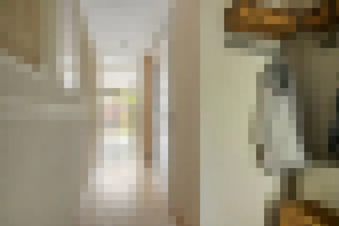 Lomanlaan 36 Utrecht thumbnail 12