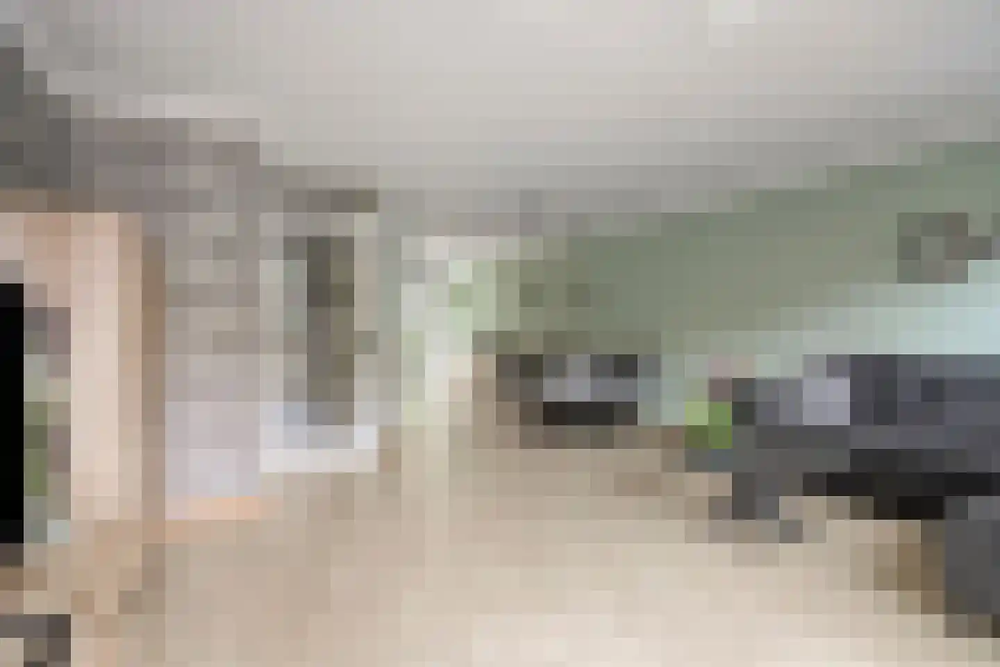 Lomanlaan 36 Utrecht thumbnail 14