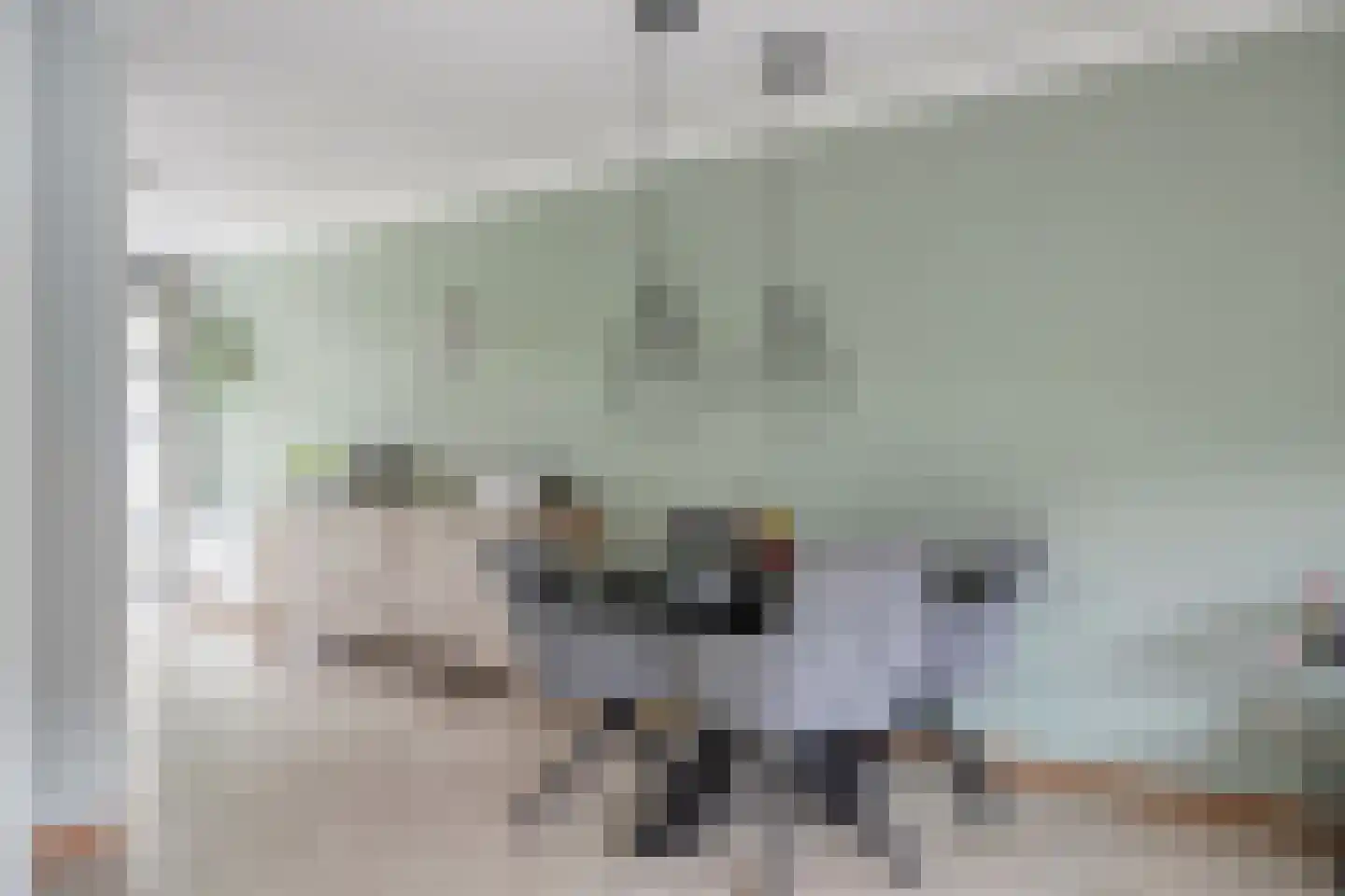 Lomanlaan 36 Utrecht thumbnail 16