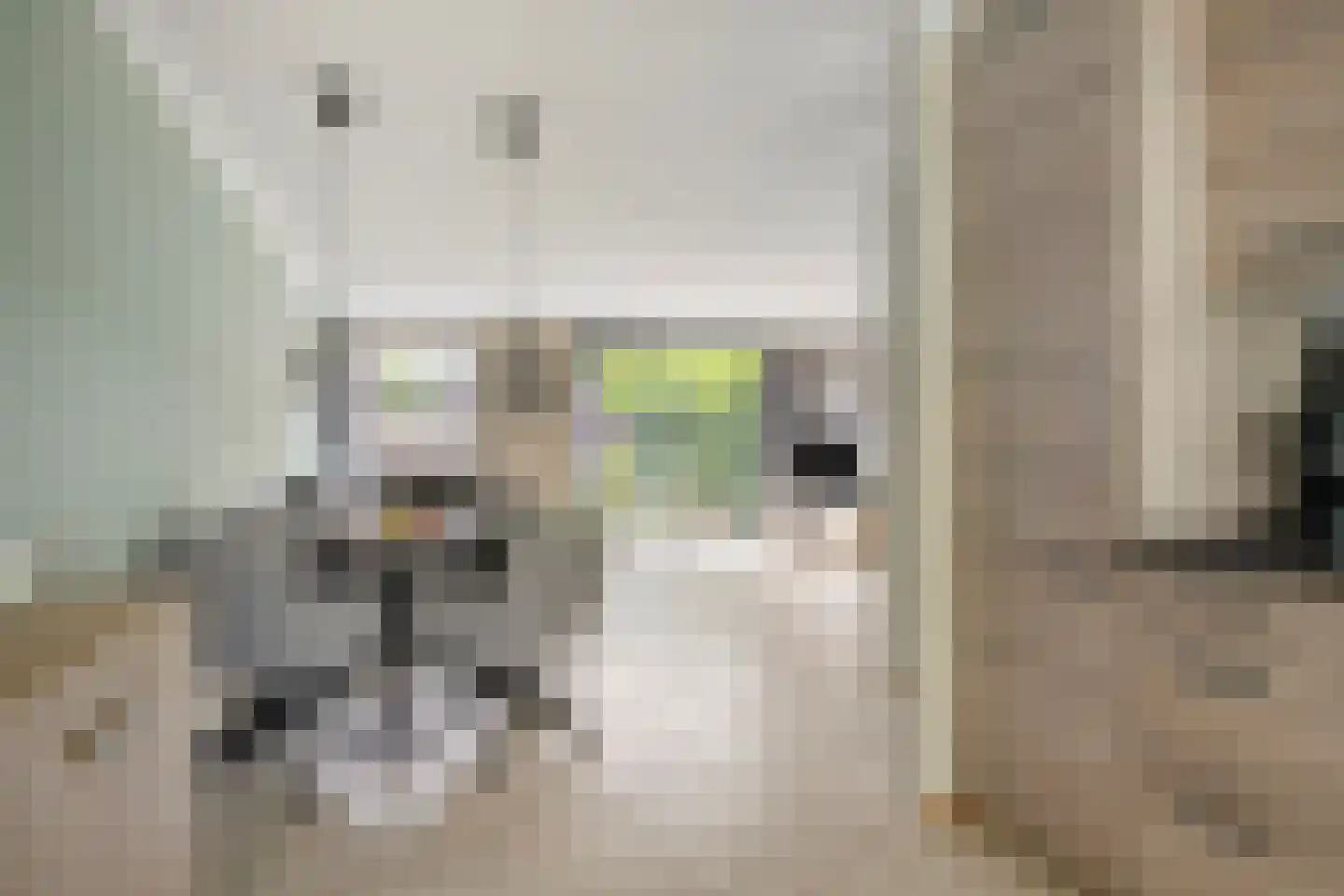 Lomanlaan 36 Utrecht thumbnail 19