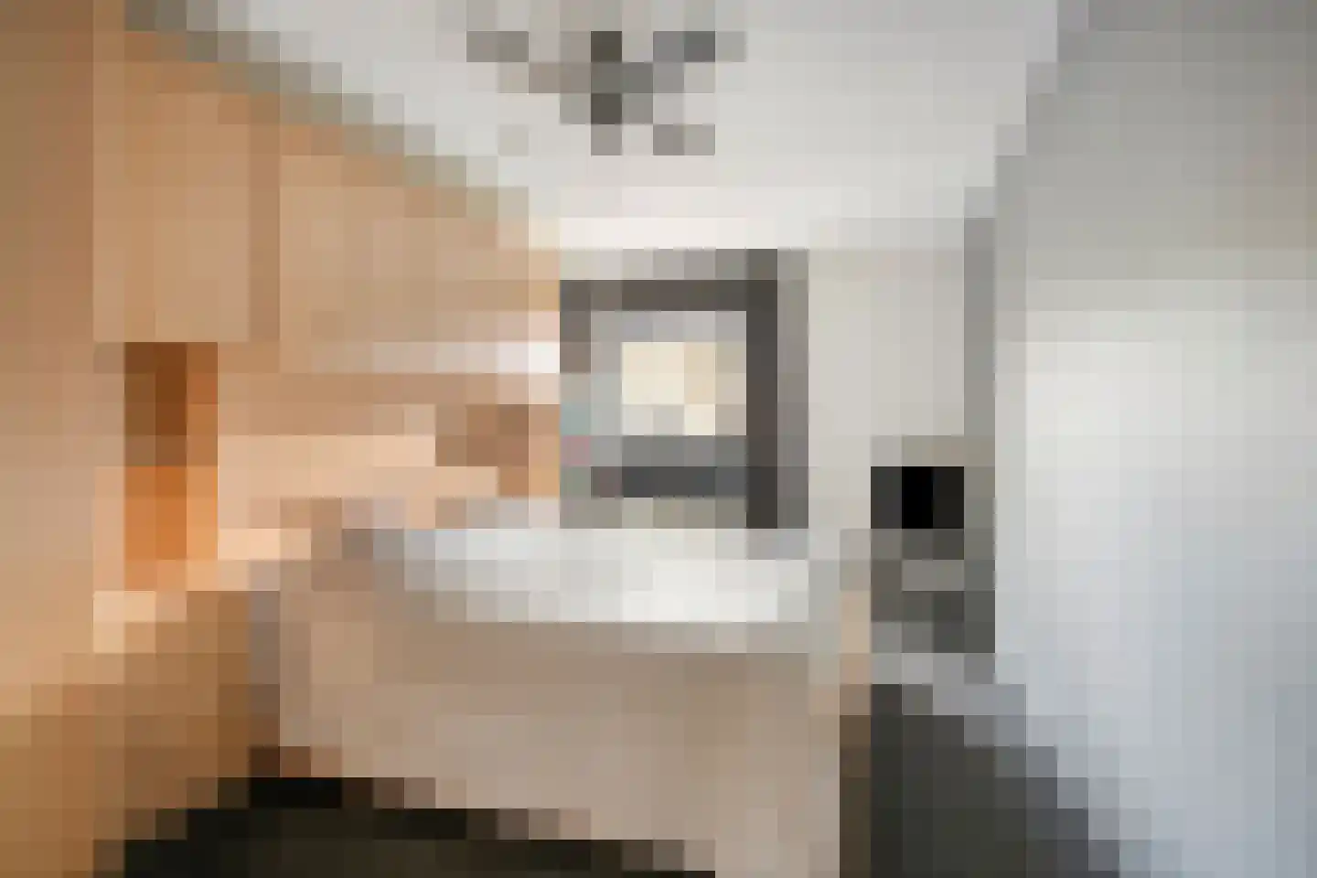 Lomanlaan 36 Utrecht thumbnail 23