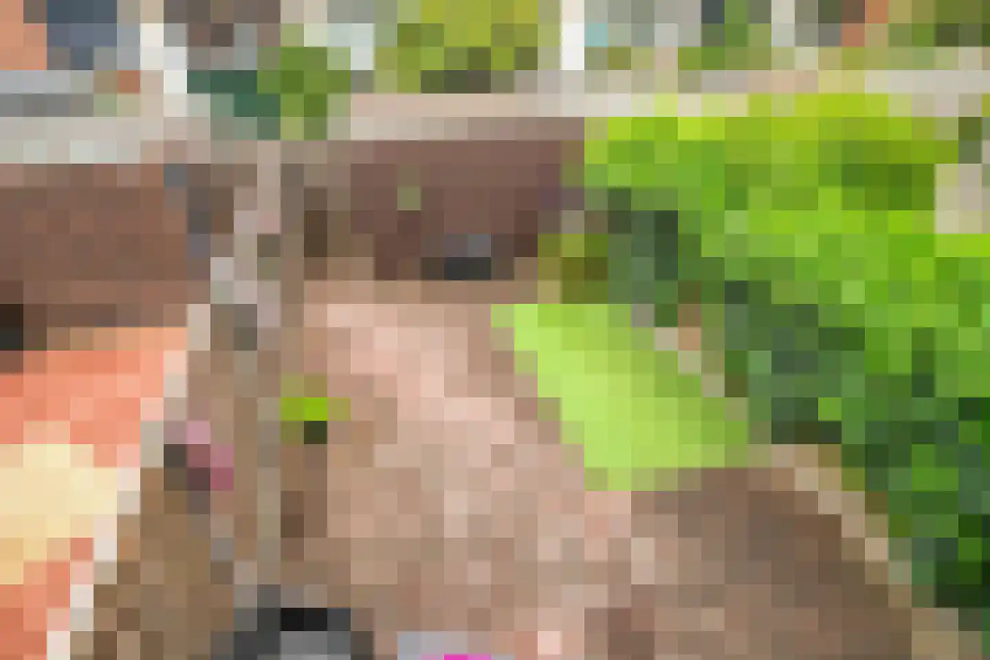 Lomanlaan 36 Utrecht thumbnail 25