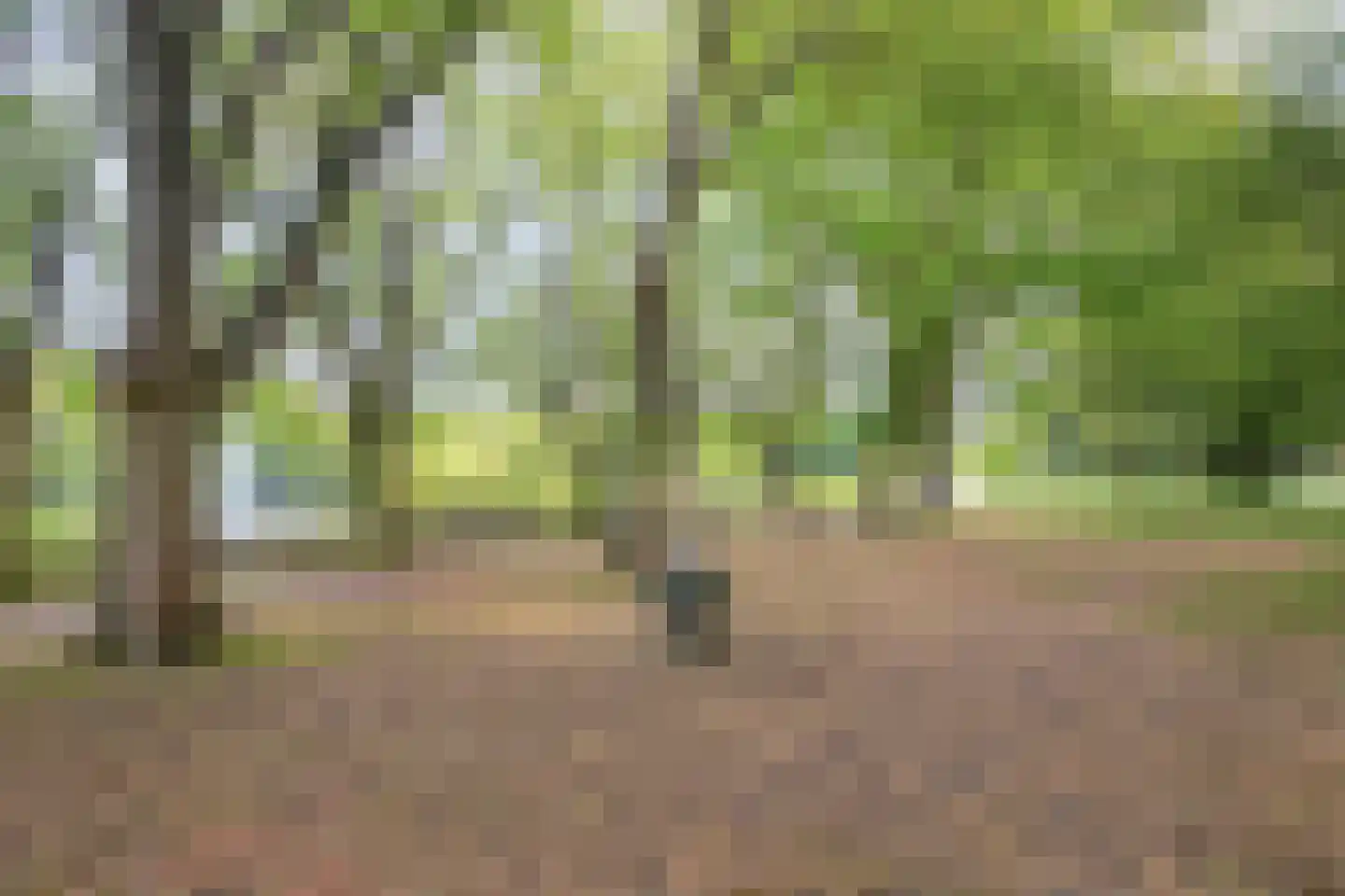Lomanlaan 36 Utrecht thumbnail 31