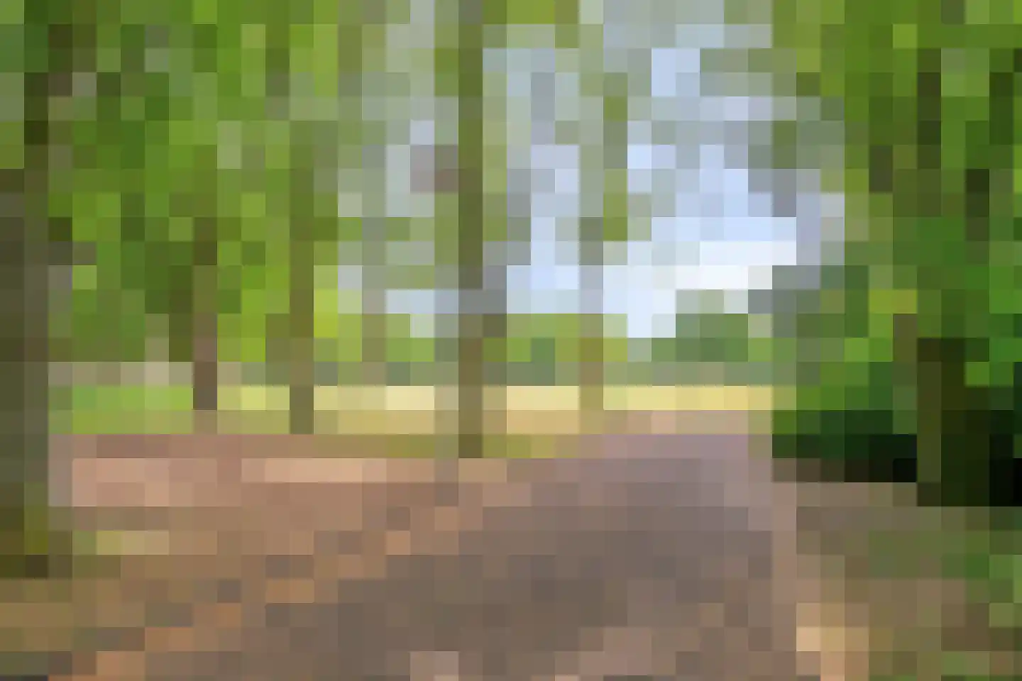 Lomanlaan 36 Utrecht thumbnail 32