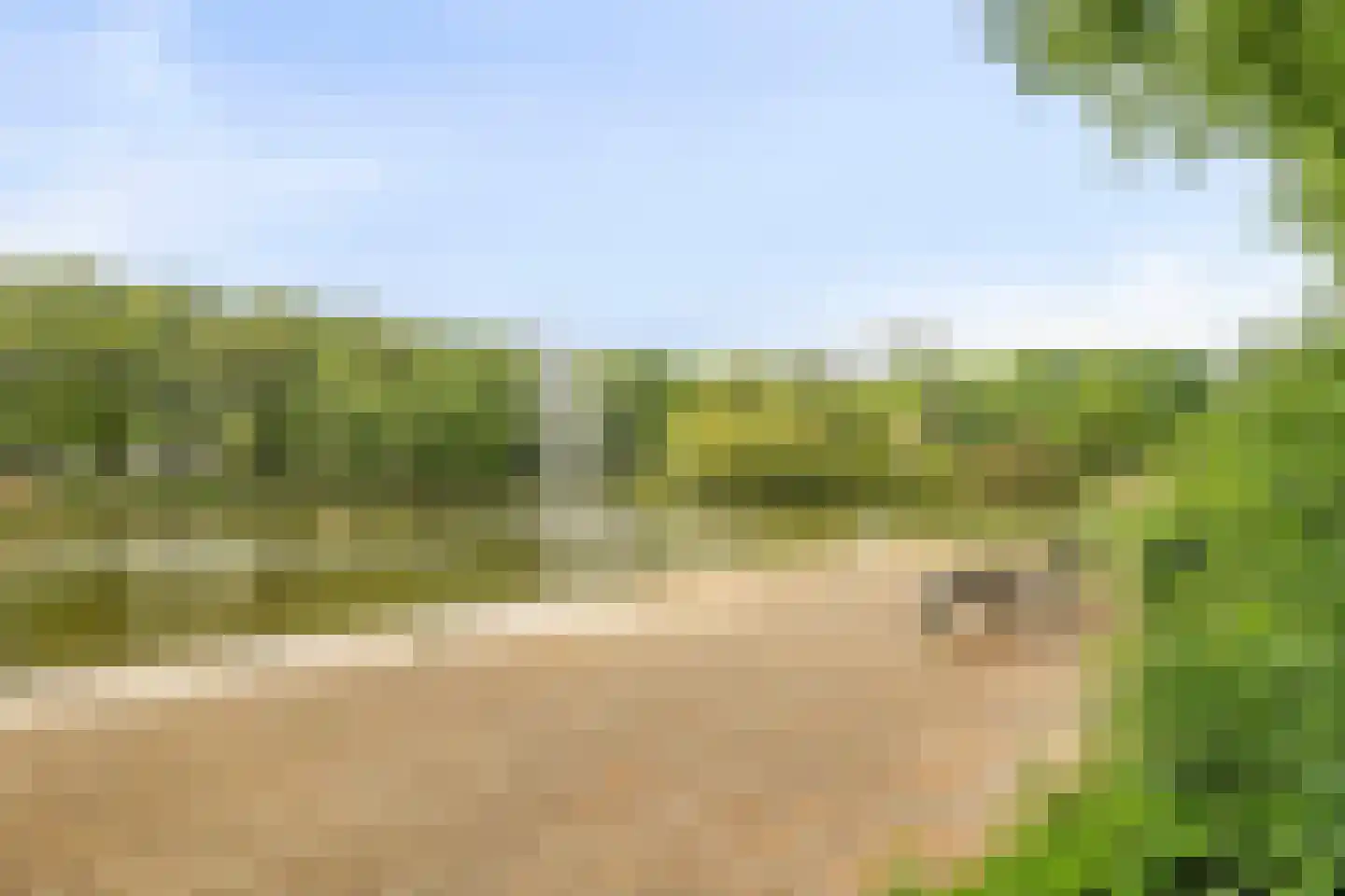 Lomanlaan 36 Utrecht thumbnail 6