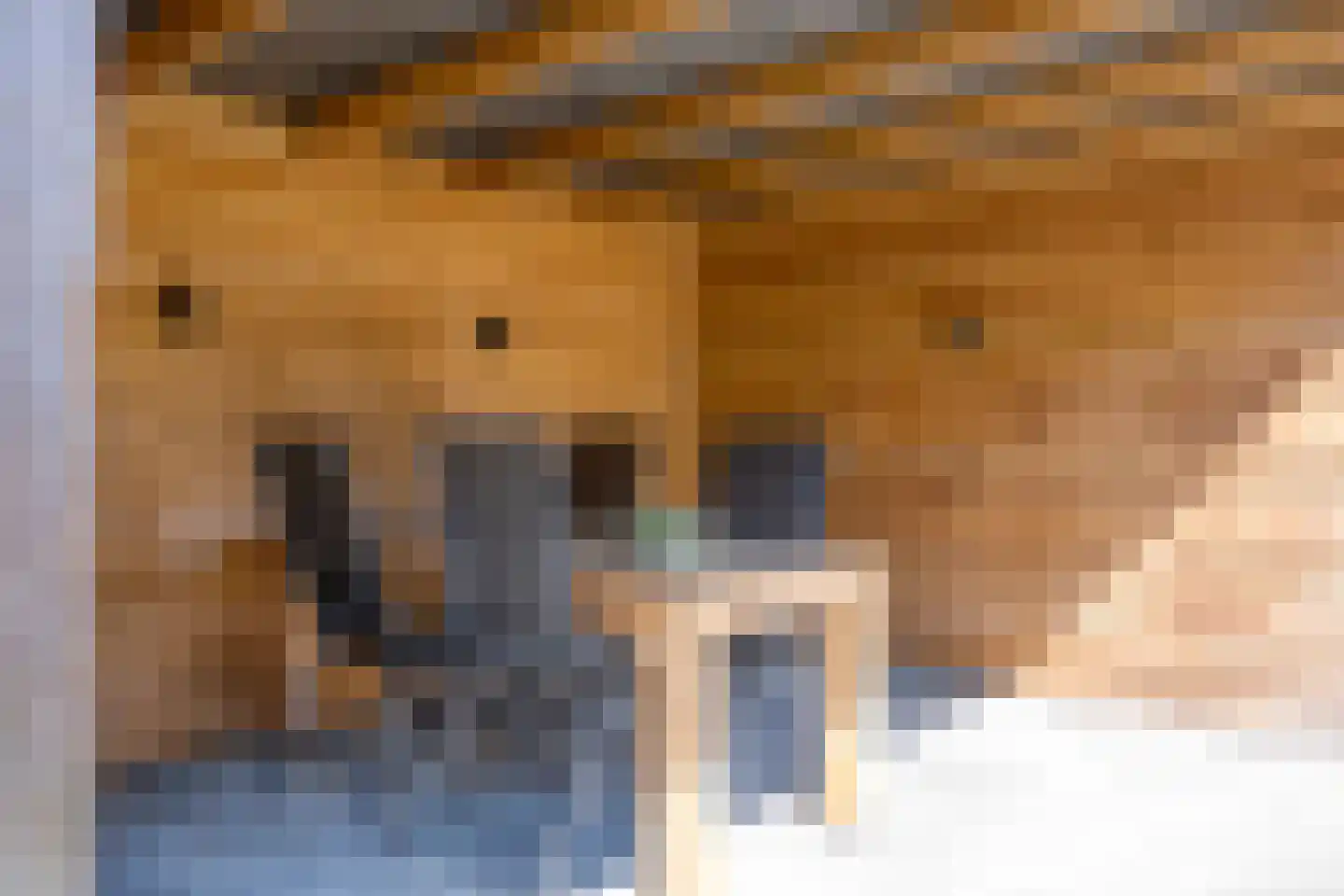 Lomanlaan 51 Hoogeveen thumbnail 32