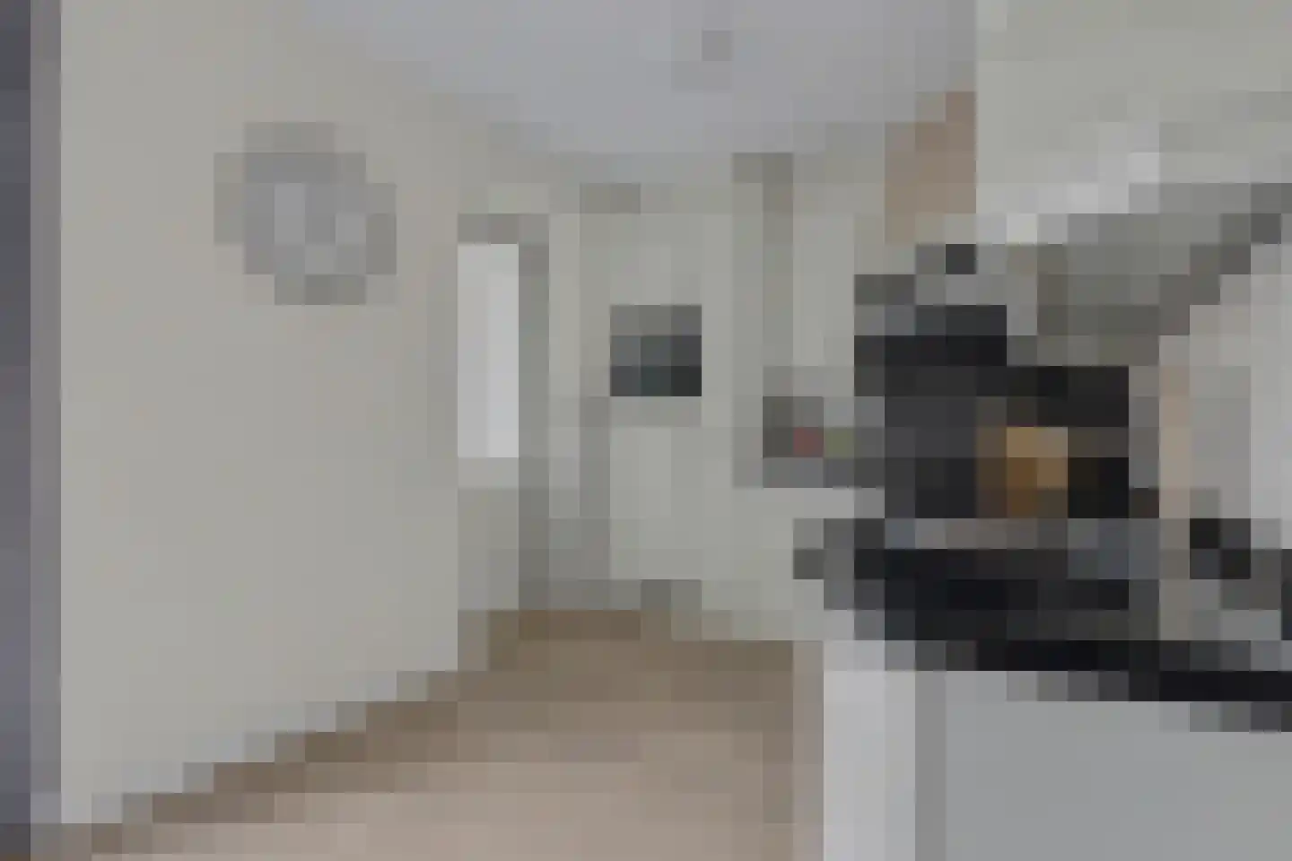 Lomanskamp 11 Beuningen thumbnail 15