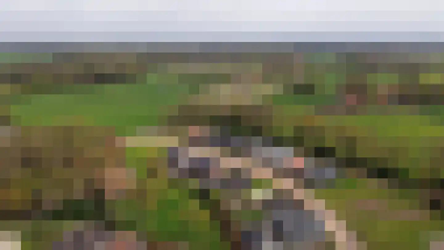 Lomanskamp 11 Beuningen thumbnail 45