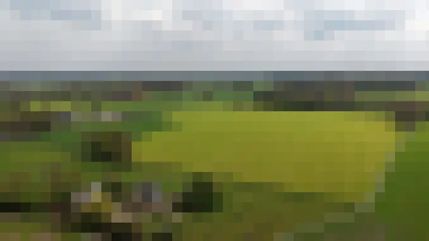Lomanskamp 11 Beuningen thumbnail 47