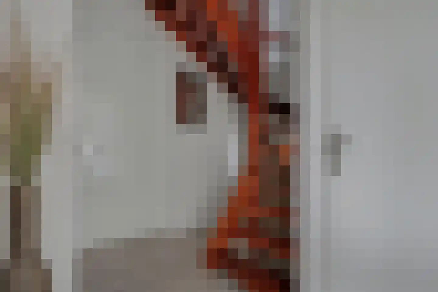 Lomanskamp 11 Beuningen thumbnail 8
