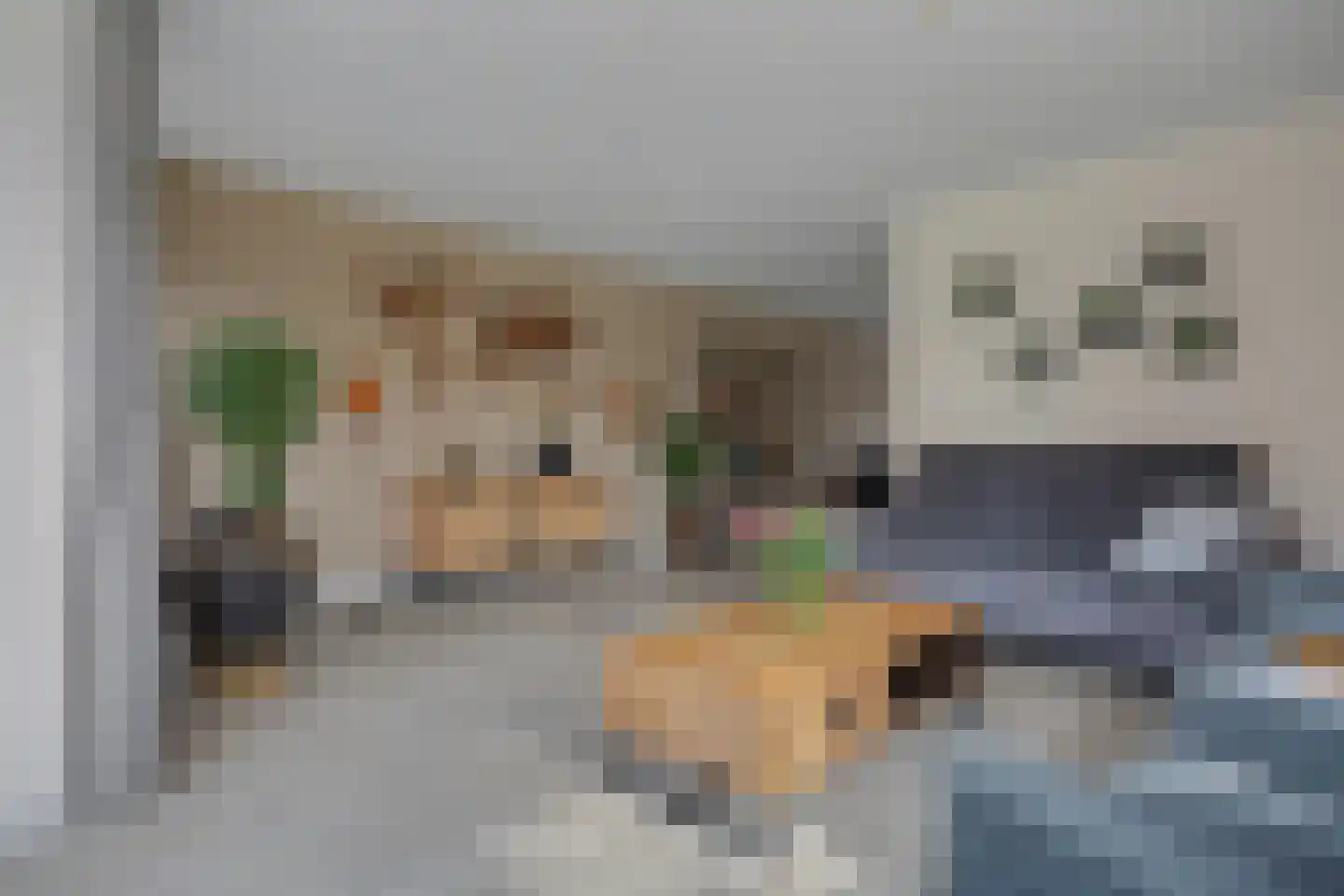 Lomanskamp 11 Beuningen thumbnail 8