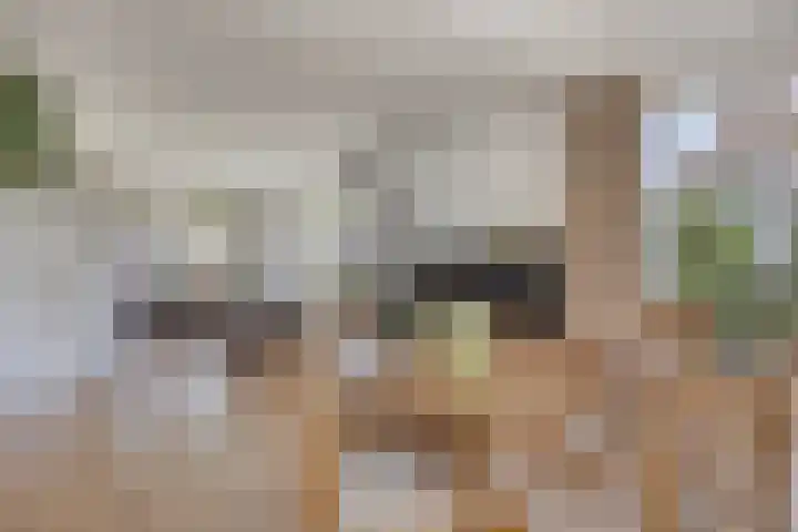 Lomanskamp 18 Beuningen thumbnail 10