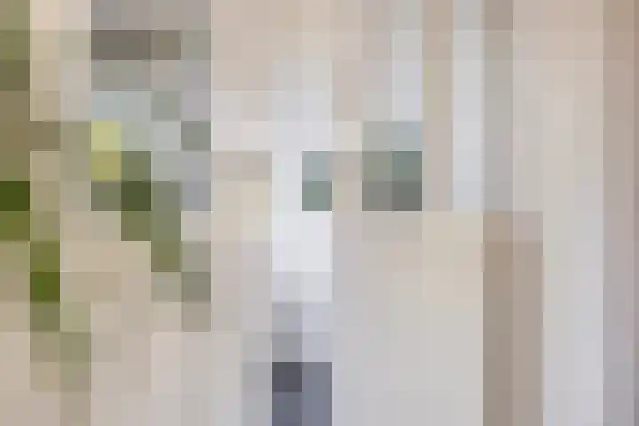 Lomanskamp 18 Beuningen thumbnail 12