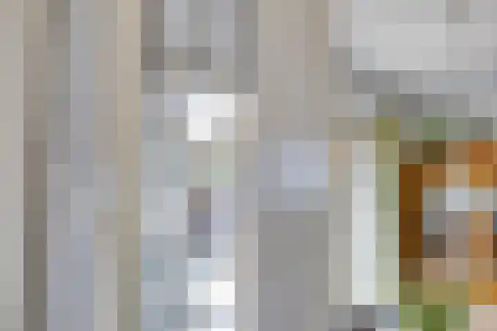Lomanskamp 18 Beuningen thumbnail 13