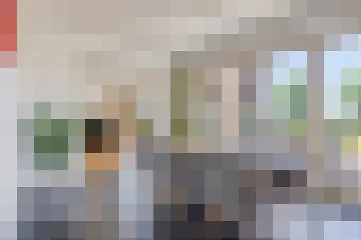 Lomanskamp 18 Beuningen thumbnail 14