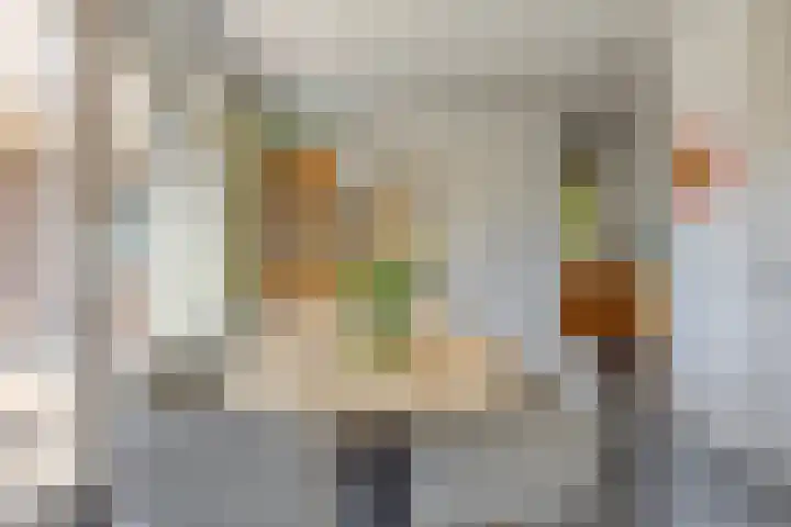Lomanskamp 18 Beuningen thumbnail 16